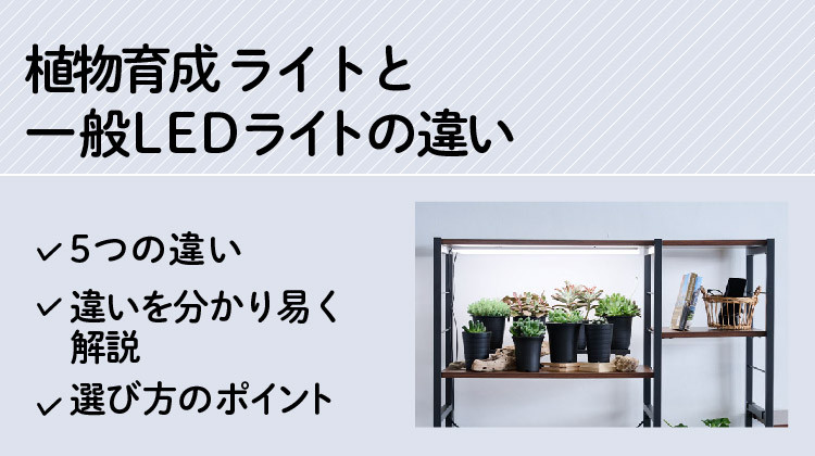 85fbd48733cec00eca2655619d46edfe1cb87a01