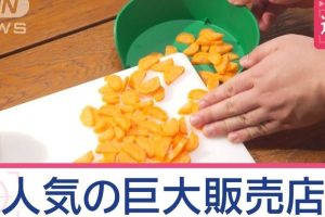 IKEA コストコ 関西：賢く買い物するコツとおすすめ商品