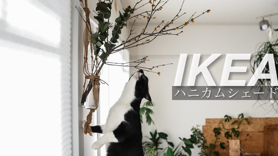 IKEA ハニカムスクリーン で快適空間!選び方と活用術 1 ikea e3838fe3838be382abe383a0e382b9e382afe383aae383bce383b3 e381a7e5bfabe981a9e7a9bae99693efbc81e981b8e381b3e696b9e381a8e6b4bbe794a8