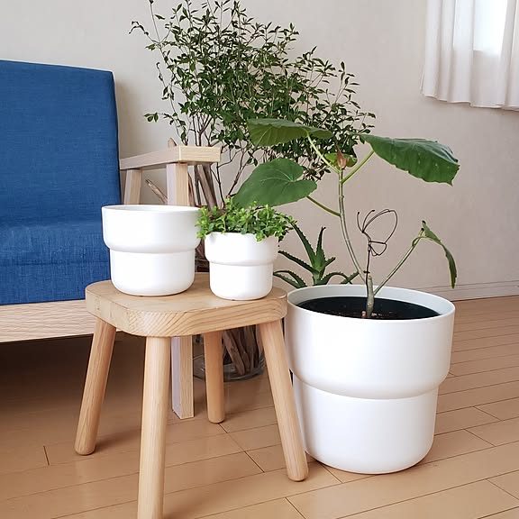 IKEA ポット 人気ランキング!おしゃれな植木鉢でインテリアを格上げ 1 ikea e3839de38383e38388 e4babae6b097e383a9e383b3e382ade383b3e382b0efbc81e3818ae38197e38283e3828ce381aae6a48de69ca8e989a2e381a7e382a4