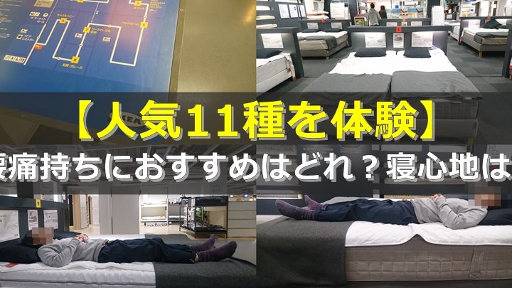 IKEA マットレス プロテクター おすすめは?選び方と人気商品を徹底比較 9 ikea e3839ee38383e38388e383ace382b9 e38397e383ade38386e382afe382bfe383bc e3818ae38199e38199e38281e381afefbc9fe981b8e381b3e696b9e381a8