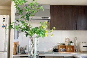 IKEA ユーカリ でおしゃれ空間！おすすめアイテムと活用アイデア