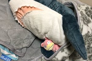 IKEA 抱き枕 ぬいぐるみ:人気のおすすめ&選び方 7 IKEA 抱き枕 ぬいぐるみ:人気のおすすめ&選び方