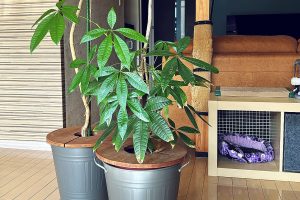 IKEA 植木鉢カバー でおしゃれに！おすすめの活用術と選び方