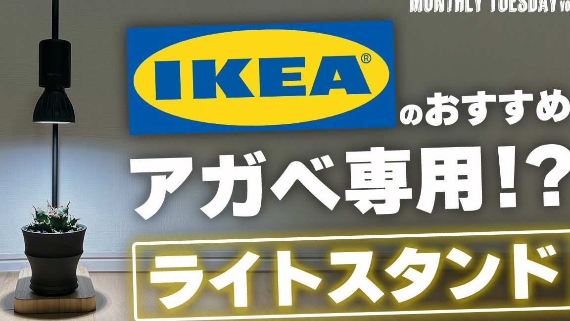 ikea e6a48de789a9 e882b2e68890 e383a9e382a4e38388 e382bde382b1e38383e38388 e381a7e5aea4e58685e59c92e88ab8efbc81e981b8e381b3e696b9e381a8