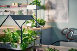 IKEA 水耕栽培 日本:イケアで始める簡単家庭菜園ガイド 26 IKEA 水耕栽培 日本:イケアで始める簡単家庭菜園ガイド