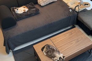 IKEAテーブル高さ調整ガイド！最適な高さで快適な空間を